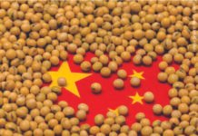 China’s Records an 11% Year-on-Year Decline in Soymeal Usage
