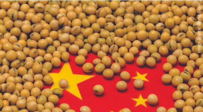 China’s Records an 11% Year-on-Year Decline in Soymeal Usage