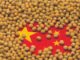 China’s Records an 11% Year-on-Year Decline in Soymeal Usage