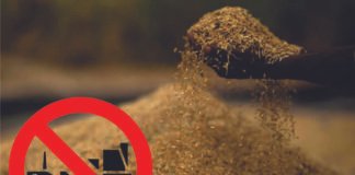 Indian Government Extends De-oiled Rice Bran Export Ban Until March 2024