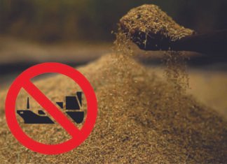 Indian Government Extends De-oiled Rice Bran Export Ban Until March 2024