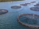 Gujarat Advocates Adoption of Modern Technologies to Boost Fisheries Sector Potential