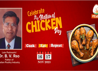 National chicken day