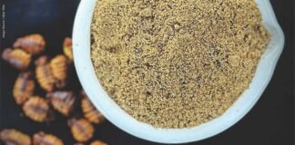 Unveiling the Nutritional Marvel: Silkworm Pupae as a Super food for Livestock and Beyond