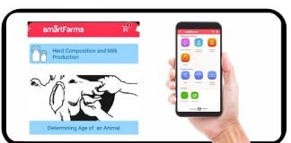 Meenakshi’s Dairy Transformation: A Tale of SmartFarming