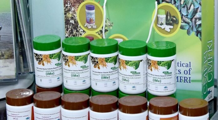 ICAR CMFRI s two seaweed-based nutraceuticals commercialised