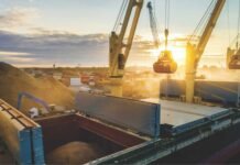 Escalating Maize Prices and Market Oversupply Raise Alarms for Indian Poultry Sector