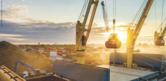 Escalating Maize Prices and Market Oversupply Raise Alarms for Indian Poultry Sector