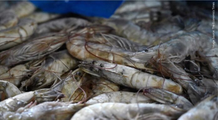 2024 Shrimp Industry Outlook Remains Uncertain