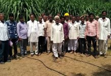ICAR-CAZRI Jodhpur’s Breakthrough: Introduces Technology on Year Round Fodder Production in Arid Regions