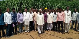 ICAR-CAZRI Jodhpur’s Breakthrough: Introduces Technology on Year Round Fodder Production in Arid Regions