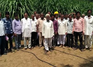 ICAR-CAZRI Jodhpur’s Breakthrough: Introduces Technology on Year Round Fodder Production in Arid Regions