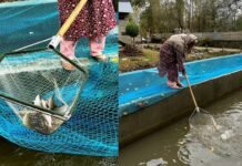 Annual Revenue of Kupwara Fish Farmers Reaches 2.8 Crore