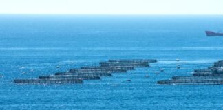 New aquaculture developments, opportunities emerge the entire world in 2024