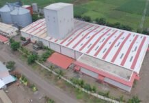 Efficient Players Can Survive in The Market