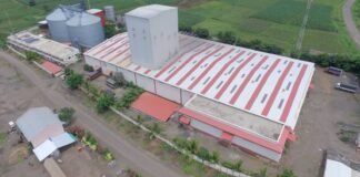 Efficient Players Can Survive in The Market