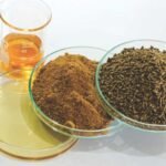 Fishmeal and Fish Oil Production Forecast