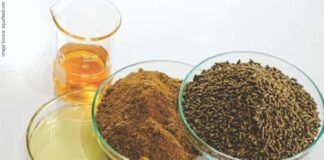 Fishmeal and Fish Oil Production Forecast