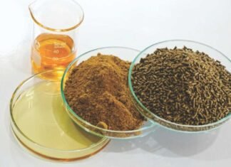Fishmeal and Fish Oil Production Forecast