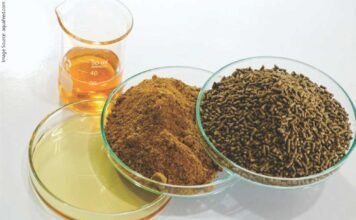 Fishmeal and Fish Oil Production Forecast