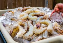 Centre Plans to Establish Northern Hub for Shrimp Production
