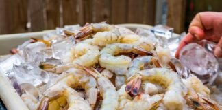Centre Plans to Establish Northern Hub for Shrimp Production