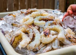 Centre Plans to Establish Northern Hub for Shrimp Production