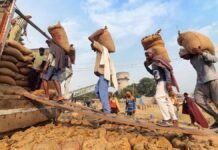 India Continues to Provide Rice to Strategic Partners Despite Export Ban