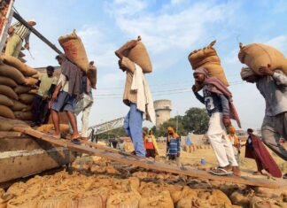 India Continues to Provide Rice to Strategic Partners Despite Export Ban