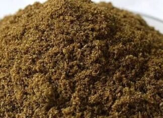 Meat Cum Bone Meal (MBM): Exploring The Future Beyond Replacing SBM and DCP