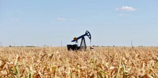 Amit Shah Announces Government Initiative to Connect Corn Farmers with Ethanol Factories