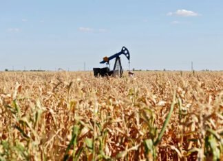Amit Shah Announces Government Initiative to Connect Corn Farmers with Ethanol Factories