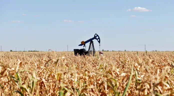 Amit Shah Announces Government Initiative to Connect Corn Farmers with Ethanol Factories