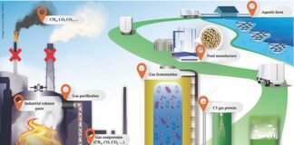 China Approves Innovative Protein-from-Gas Ingredient for Aquafeed