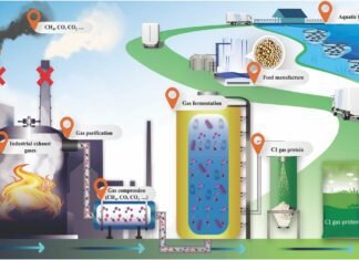 China Approves Innovative Protein-from-Gas Ingredient for Aquafeed