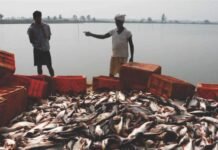 NITI Aayog’s Inter-State Summit in Vizag Propels Inland Fisheries Forward