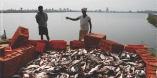 NITI Aayog’s Inter-State Summit in Vizag Propels Inland Fisheries Forward