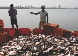NITI Aayog’s Inter-State Summit in Vizag Propels Inland Fisheries Forward