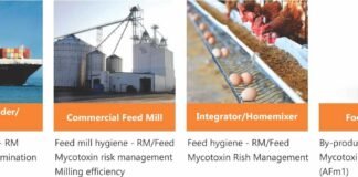 A Collaborative Approach Can Ensure Feed Safety