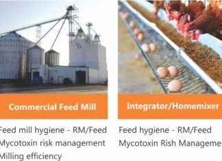 A Collaborative Approach Can Ensure Feed Safety
