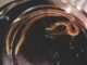 Exploring the Role of Marine Worms in Sustainable Aquafeeds