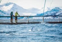 Merck Animal Health to Acquire Elanco’s Aqua Business