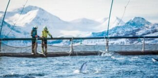 Merck Animal Health to Acquire Elanco’s Aqua Business