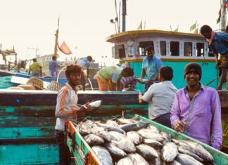 India at WTO Meeting: Balancing the Protection of Local Fishermen with the Development of the Fishing Sector