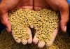 Olam Agri Broadening Feed Capabilities Across West Africa