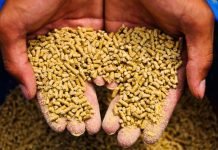 Olam Agri Broadening Feed Capabilities Across West Africa