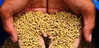 Olam Agri Broadening Feed Capabilities Across West Africa