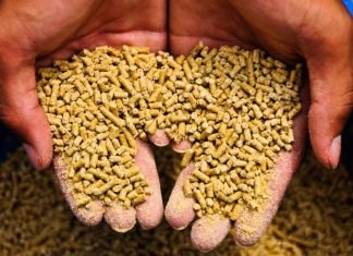 Olam Agri Broadening Feed Capabilities Across West Africa