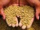 Olam Agri Broadening Feed Capabilities Across West Africa
