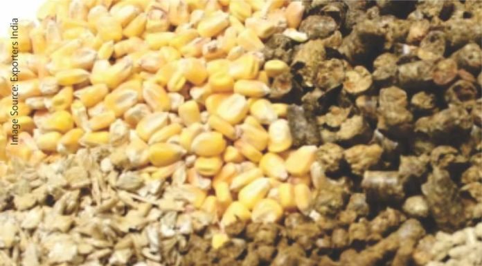 India Grain and Feed Sector: Quarterly Review